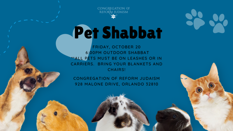 		                                		                                <span class="slider_title">
		                                    Celebrate Shabbat with your pets at CRJ!		                                </span>
		                                		                                
		                                		                            		                            		                            